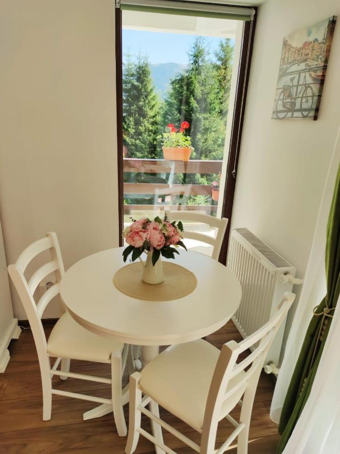 Green Studio Predeal Dış mekan fotoğraf