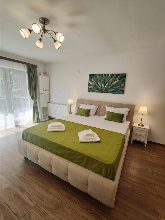 Green Studio Predeal Dış mekan fotoğraf