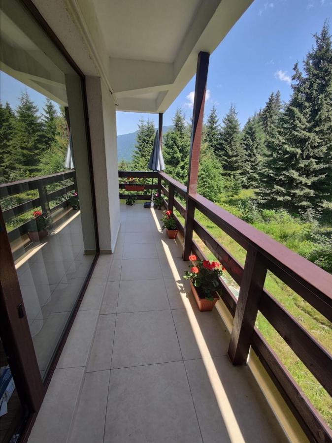 Green Studio Predeal Dış mekan fotoğraf